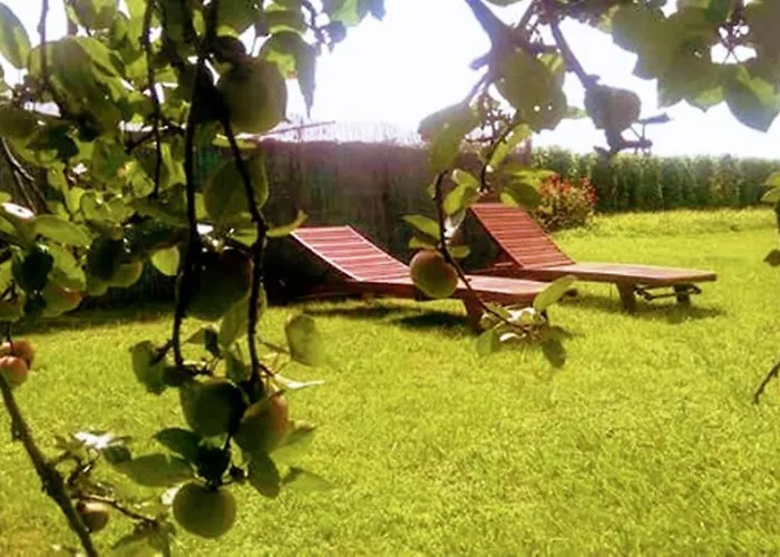 Rural La Corolla Quintueles