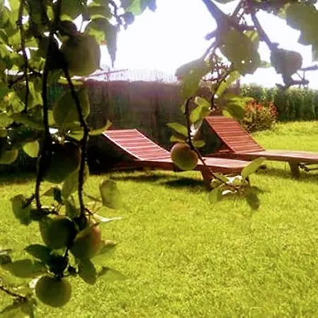 Rural La Corolla Quintueles